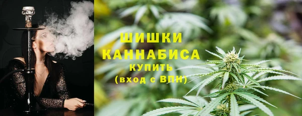 круглые Бронницы