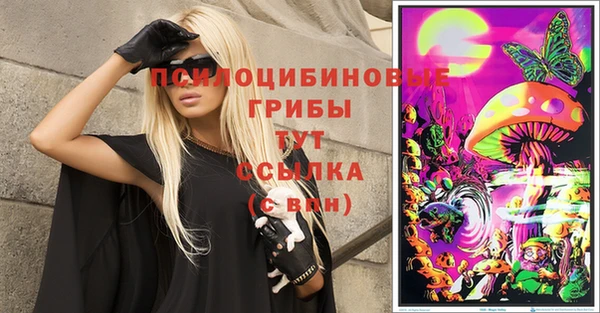 гидра Бугульма