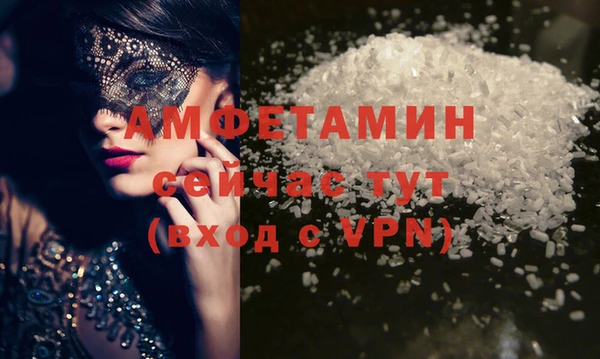 шишки Бородино