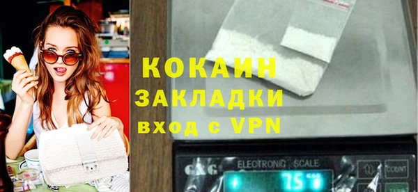 шишки Бородино